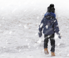 Flexible Instructional Days (FIDs)/Inclement Weather Days