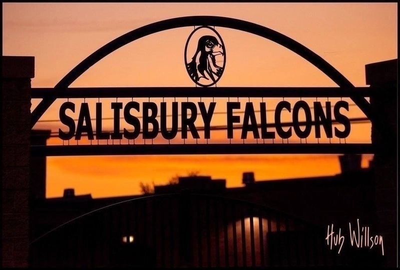 Salisbury Township School District - alone on valentines day a sad roblox love story movie