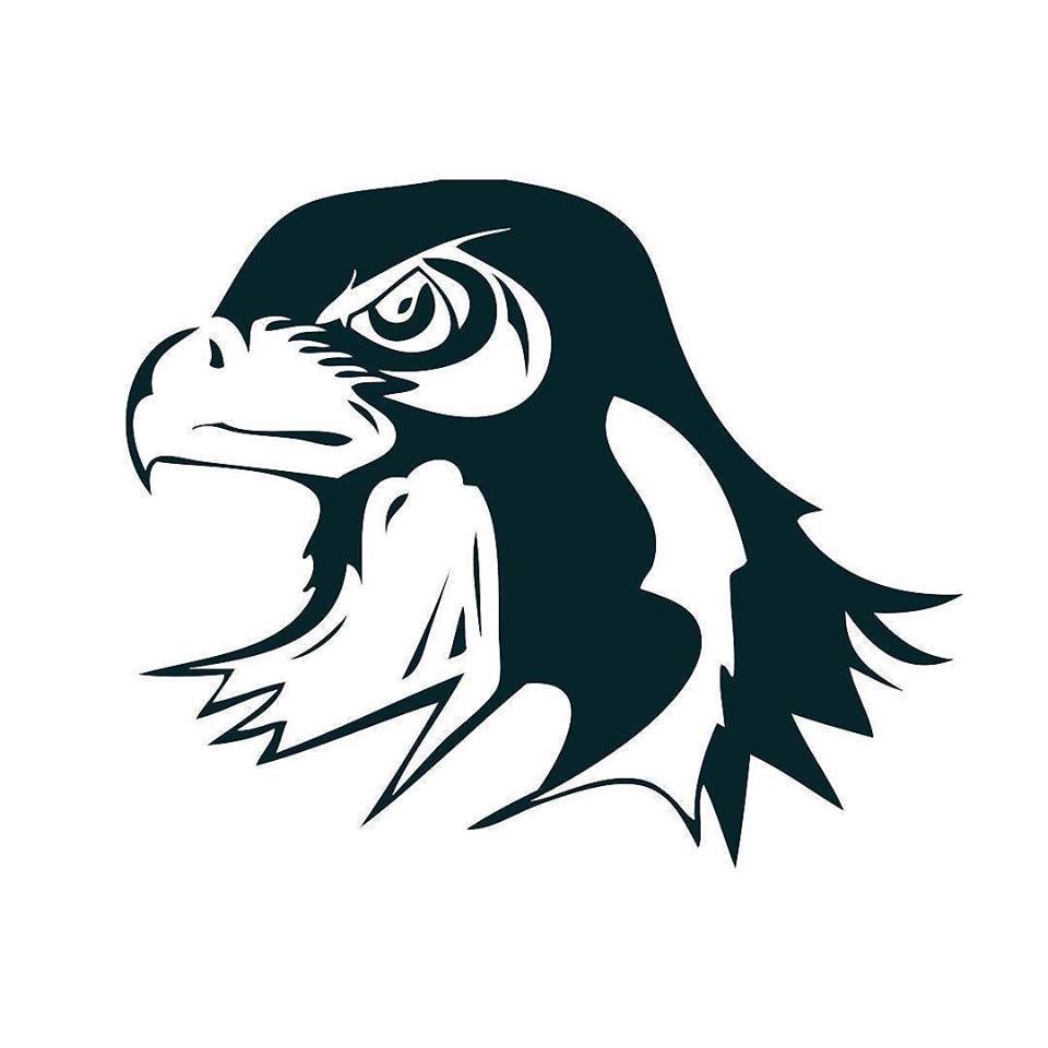 Salisbury Falcons logo