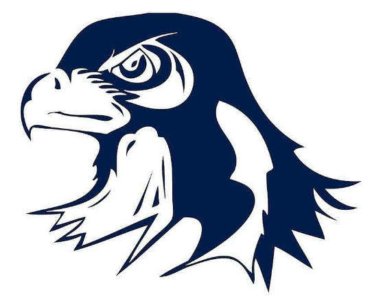 Salisbury Falcons logo