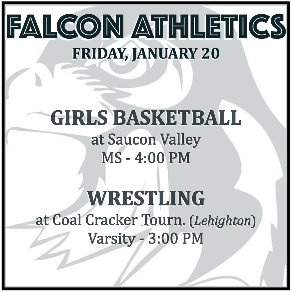 GIRLS BASKETBALL at Saucon Valley: MS 4:00.  WRESTLING at Coal Cracker Tournament (at Lehighton): Varsity 3:00 PM. 